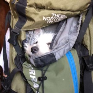 Meet your Posher, Gissele